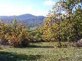 il Macerino